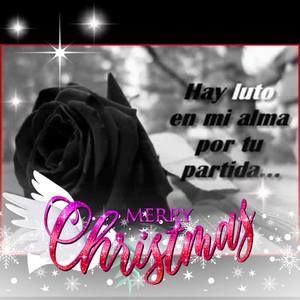 Meet your Posher, Roberto